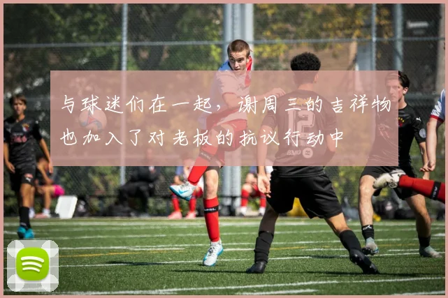 与球迷们在一起，谢周三的吉祥物也加入了对老板的抗议行动中